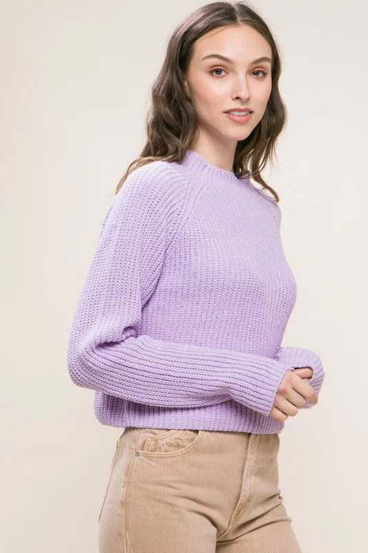 Solid Color Knit Pullover Sweater